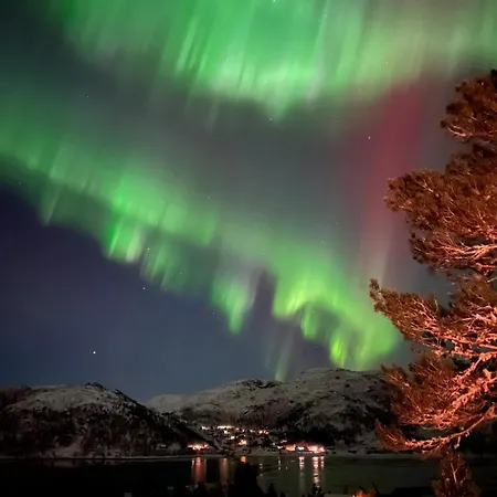 Drom Deg Bort Til Fjells Velkommen Til En Perle Av En * Masfjorden