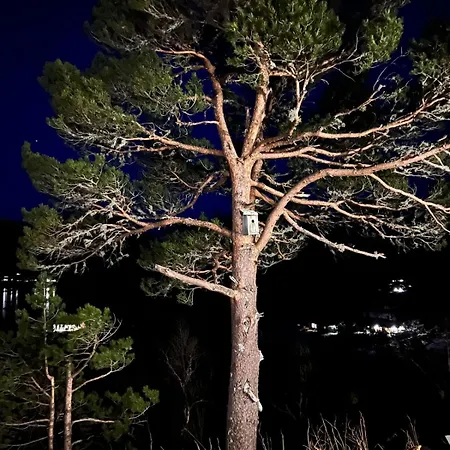Drom Deg Bort Til Fjells Velkommen Til En Perle Av En Masfjorden