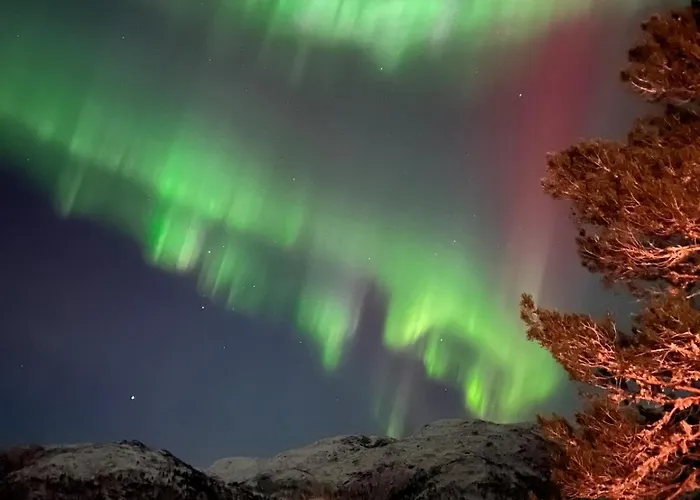 Drom Deg Bort Til Fjells Velkommen Til En Perle Av En * Masfjorden