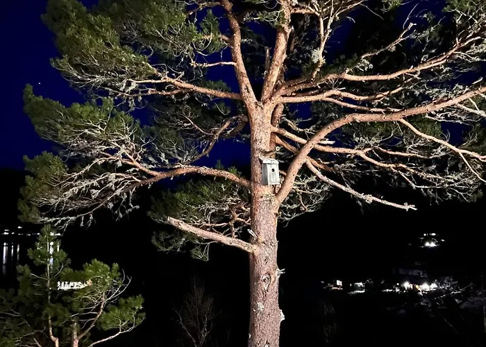 Drom Deg Bort Til Fjells Velkommen Til En Perle Av En Masfjorden
